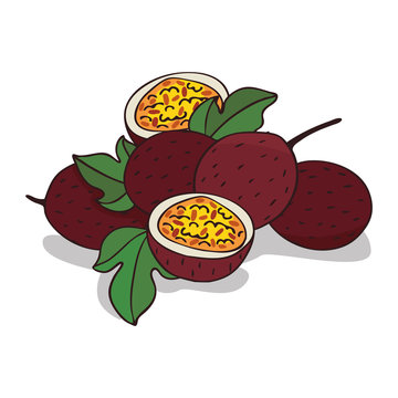 Isolate ripe passion fruit on white background. Close up clipart with shadow in flat realistic cartoon style. Hand drawn icon