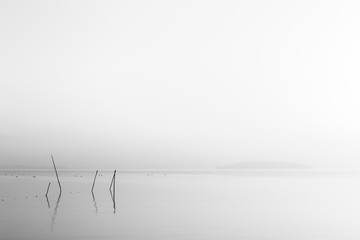 A very minimalistic view of a Trasimeno lake at dawn, with soft light and tones, fishing nets and poles in the foreground