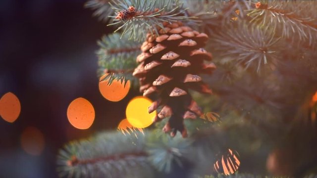 Christmas tree holiday background. Pine tree decorated with Christmas lights. Slow motion 4K UHD video footage. 3840X2160
