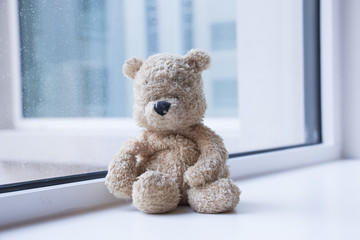 Bear in bedroom alone 