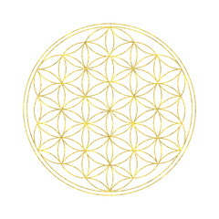 Flower of life - spiritual symbol with white background