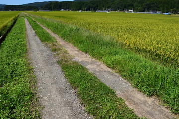 農業専用道路