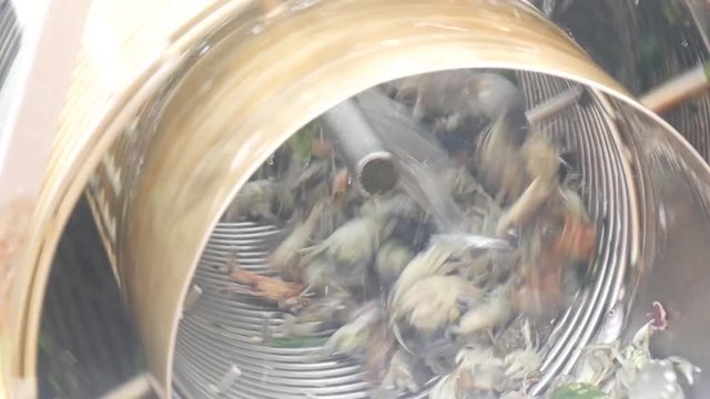 Pulizia crostacei su barca da pesca