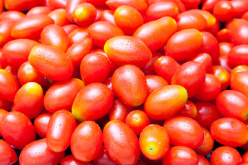Group of Fresh Red Rape Cherry Tomatoes