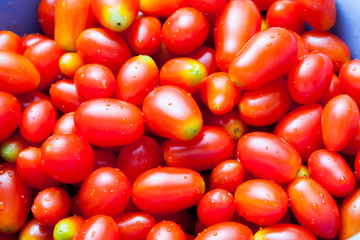 Group of Fresh Red Rape Cherry Tomatoes