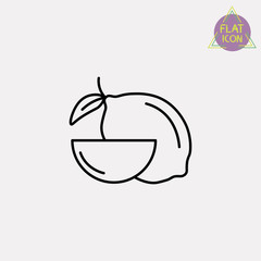 lemon line icon