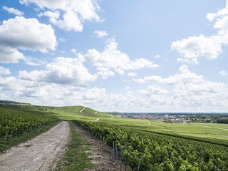Fototapeta na wymiar Ay, Champagne, France. Hills covered with vineyards in the wine region of Champagne, France. Moet & Chandon