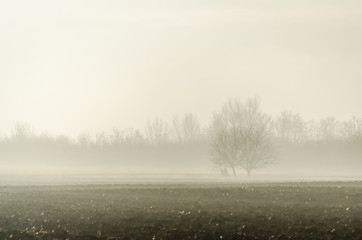 Plowed in winter field (arable land) 