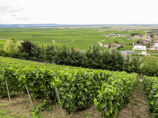 Fototapeta na wymiar Epernay, Champagne, France. Small village where Champagne producer companies are based.