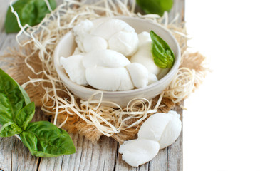 Italian cheese mozzarella nodini with basil