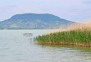 Badacsony hill and the lake Balaton in Hungary