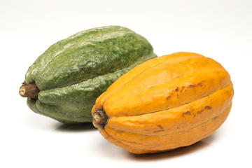 One green and one ripe cocoa in white background