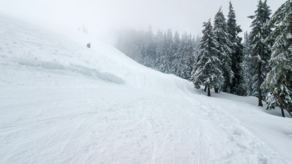 Aerial view of the snow-covered Christmas tree in mountains with road