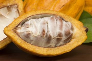 Open Cocoa in wood background close