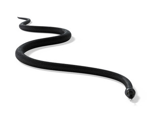 Black Snake isolated on White Background. 3D illustration