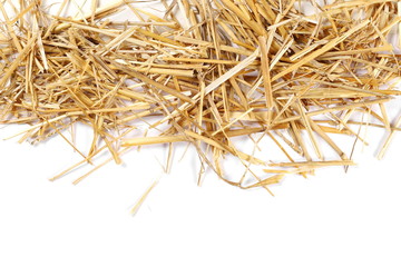 Straw pile isolated on white background, top view