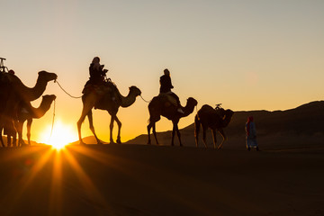 Caravane de chameaux avec des personnes traversant les dunes de sable du désert du Sahara. Maroc, Afrique.