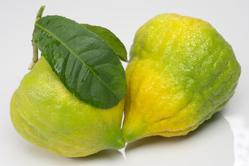 Citron in white background 