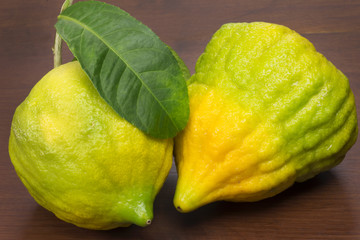Citron in wood background 