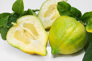 Citron in white background with one open