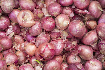 Red onion in the market - Allium cepa
