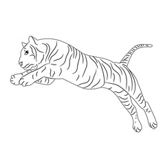 Fototapeta na wymiar vector, isolated sketch of a tiger jumping