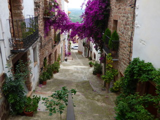Villafamés. Pueblo de la Comunidad Valenciana, en España. Situado en la provincia de Castellón, en la comarca de la Plana Alta