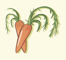 Illustration of two carrots