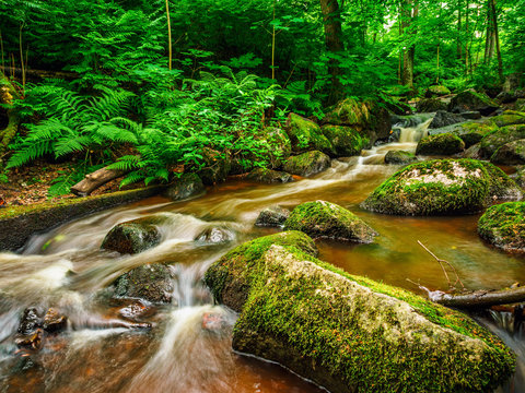 Stream Of Water In The Forest Making Its Way Between Boulders Covered With Moss