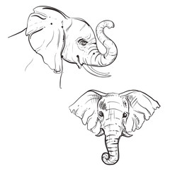 hand drawn illustration with monochrome silhouette of elephant.sketch. vector eps 8.