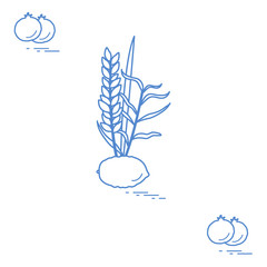 Pomegranate and Lulav - symbolic attribute of the holiday of Sukkot. Jewish traditions and symbols.