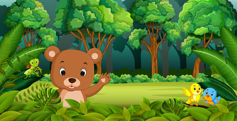 Obraz na płótnie Canvas Baby Bear in the Forest