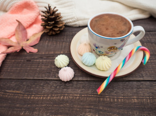 Fototapeta na wymiar Cocoa with foam, sweet candy and colored bisse on a wooden table