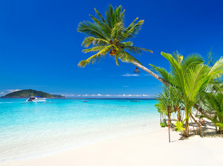 Tropical beach scenery at Caribbean Sea  - obrazy, fototapety, plakaty