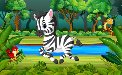Zebra in the forest