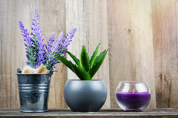 Plant and decorative candles with wood in the background. Beauty Spa Health and Wellness concept.