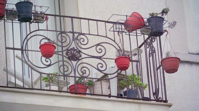 15928_The_red_flower_pots_hanging_on_the_terrace.mov