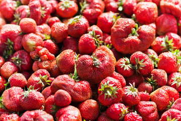 Ripe strawberries on the market. Sale of berries. Fruit and vegetable market
