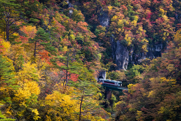 Rikuu line at Naruko gorge in autumn