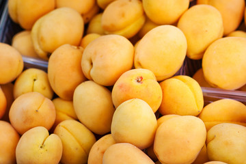 Ripe apricots in the fruit and vegetable market
