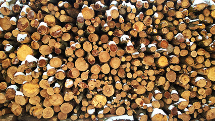 Stacked logs covered with snow. Cross section of the timber, firewood stack. Background texture