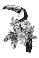 exotic bird tukan with blooming flowers. Isolated decorative element. Botanical concept. Tropical concept. flower concept. Vector design © valeriyabtsk