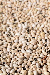 white bean texture closeup