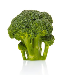 fresh raw broccoli