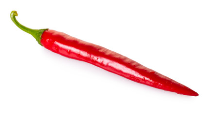 hot chilli pepper