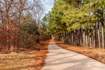Country road in Oklahoma.