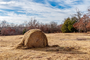 Hay bale in a field.