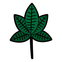 single leaf icon image vector illustration design 