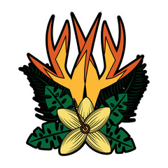 assorted flowers emblem wild icon image vector illustration design 