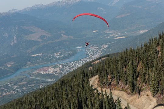Paraglider flying over dense forest